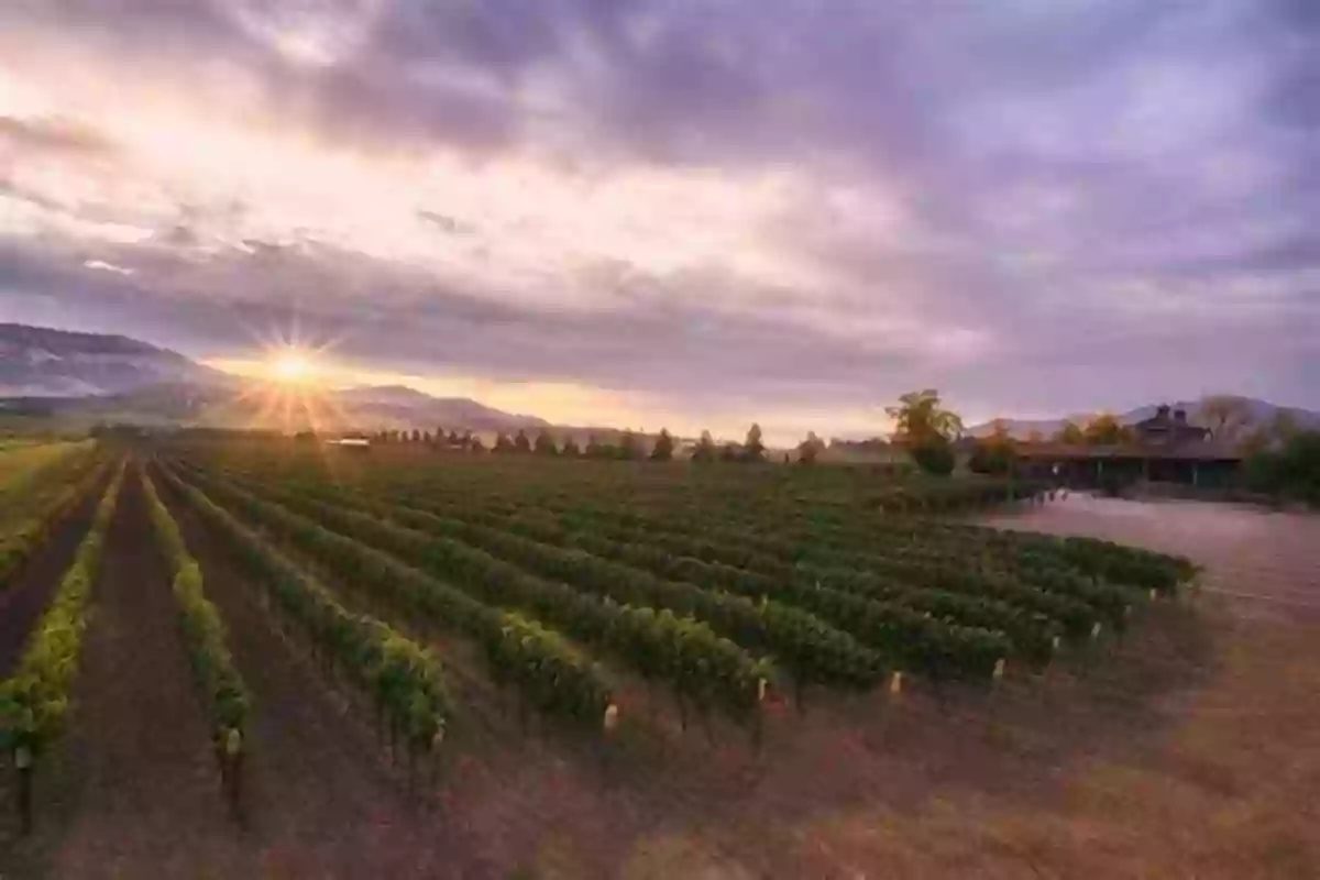 A Vineyard Pathway Leading To Rogue Valley Winery, Where Nature And Craftsmanship Converge Rogue Valley Wine (Images Of America)