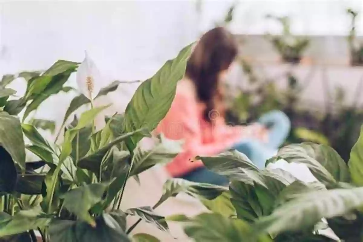 A Young Girl Sitting On A Lush Mango Tree, Looking Towards The Horizon The Girl In The Mango Tree