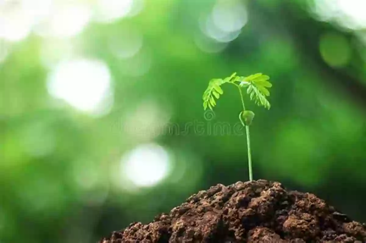 A Young Tree Sprouting Amidst A Vibrant Green Forest The Life Of A Tree: How A Tree Grows