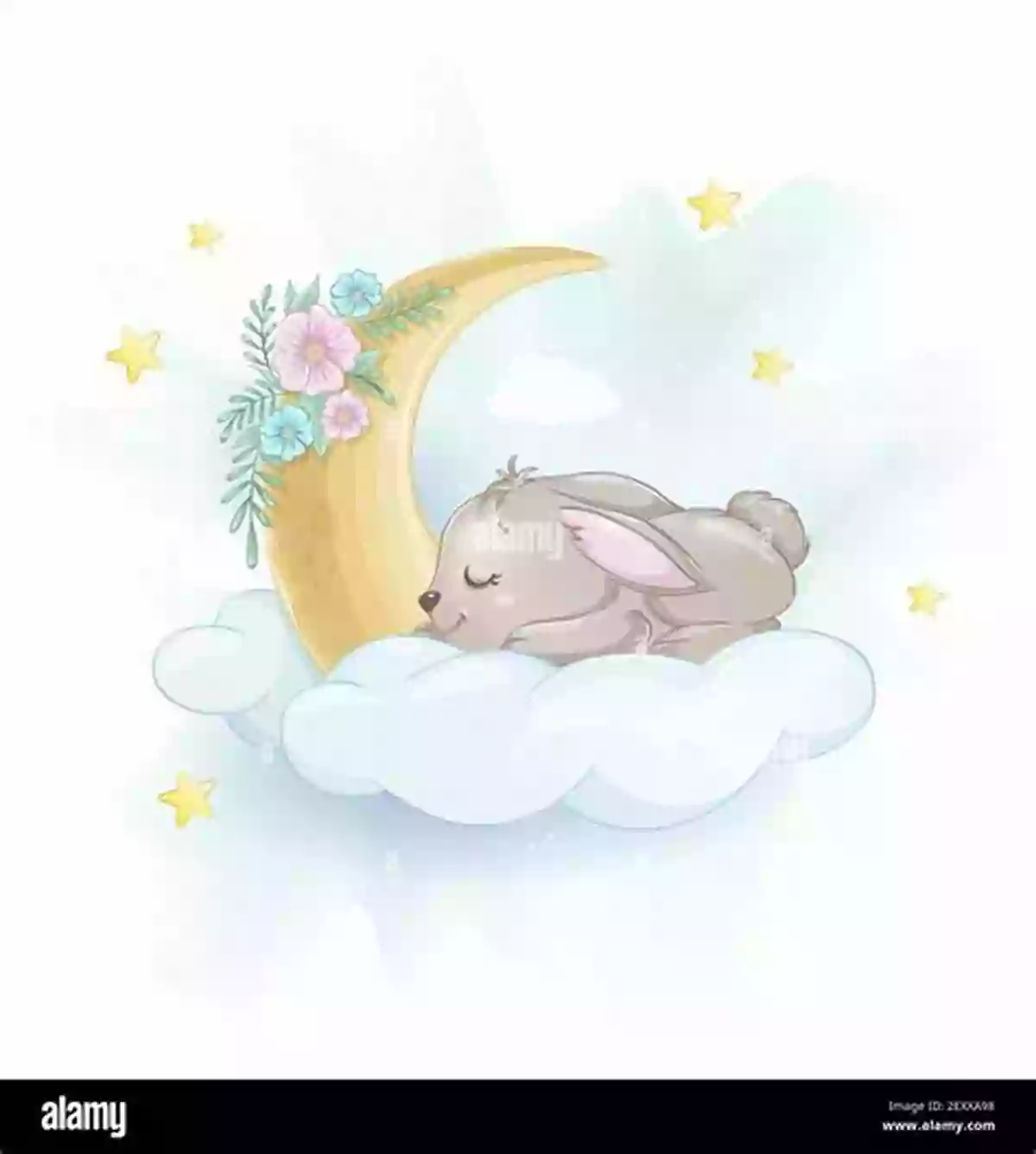 Adorable Bunny Sleeping Soundly On A Fluffy Cloud Time For Bed Bunny (Time For Bunny Series)