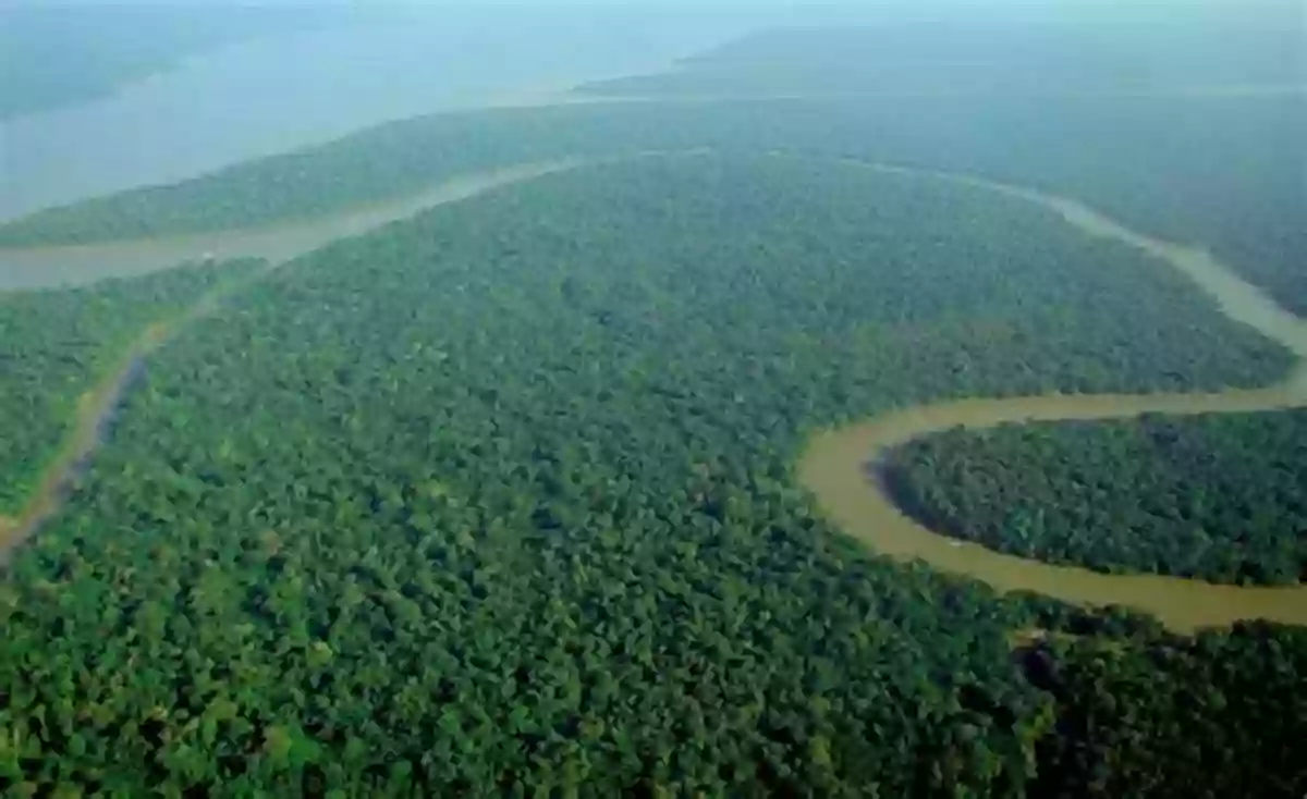 Aerial View Of Amazon Rainforest Rain Forest Life (Habitats Around The World)