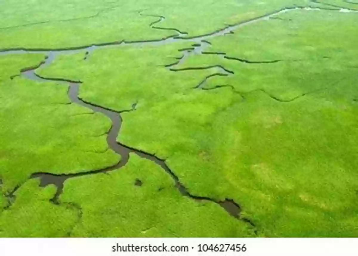 Aerial View Of A Lush Wetland With Diverse Plant And Animal Life The Atchafalaya River Basin: History And Ecology Of An American Wetland