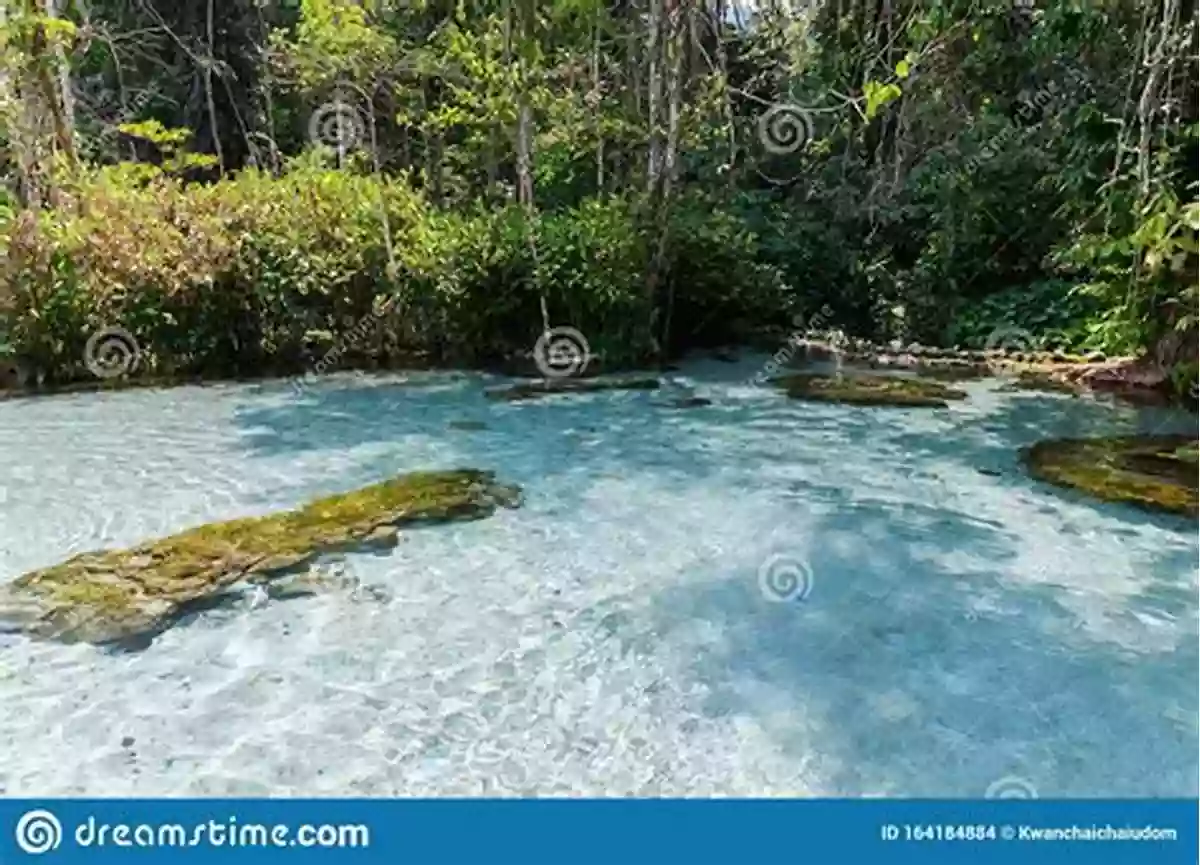 Aerial View Of A Pristine Watershed With Lush Vegetation And Crystal Clear Water Advances In Watershed Science And Assessment (The Handbook Of Environmental Chemistry 33)