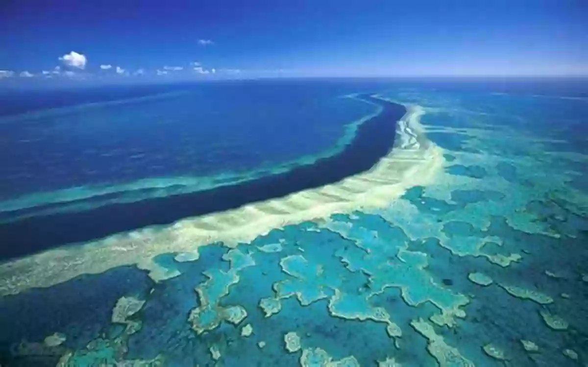 Aerial View Of The Great Barrier Reef Large Scale Ecosystem Restoration: Five Case Studies From The United States (The Science And Practice Of Ecological Restoration Series)