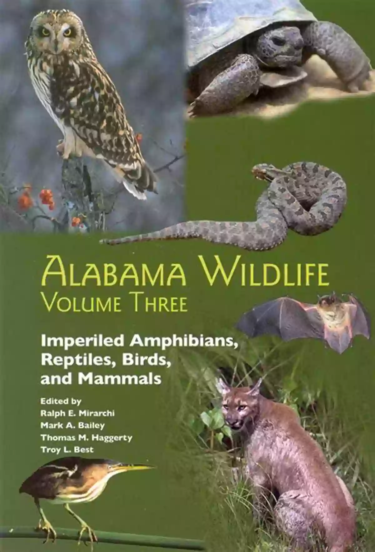 Alabama's Diverse Wildlife In The Enchanting Southern Landscapes Southern Wonder: Alabama S Surprising Biodiversity