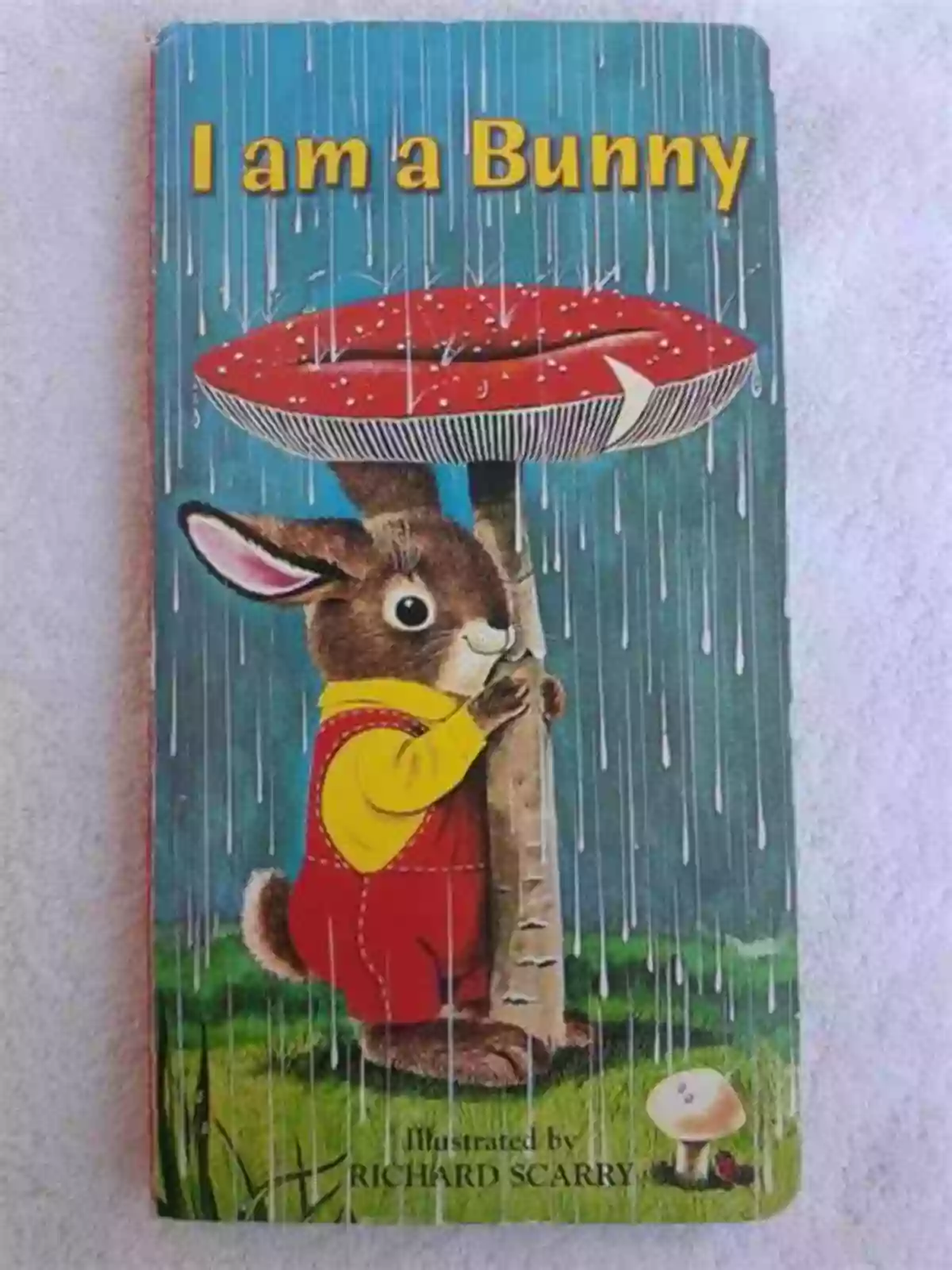 Am Bunny Golden Sturdy Book I Am A Bunny (A Golden Sturdy Book)