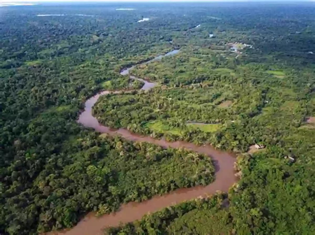 Amazon Rainforest Immerse Yourself In The Pristine Wilderness Of Peru Your Passport To Peru (World Passport)