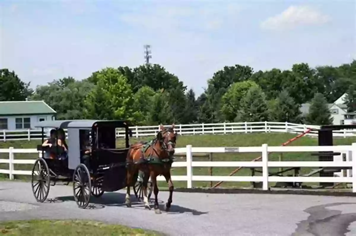 Amish Farmland With Horses And Buggies The Bible Of Amish Facts