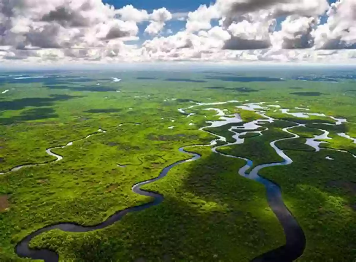 An Aerial View Of Everglades National Park Large Scale Ecosystem Restoration: Five Case Studies From The United States (The Science And Practice Of Ecological Restoration Series)