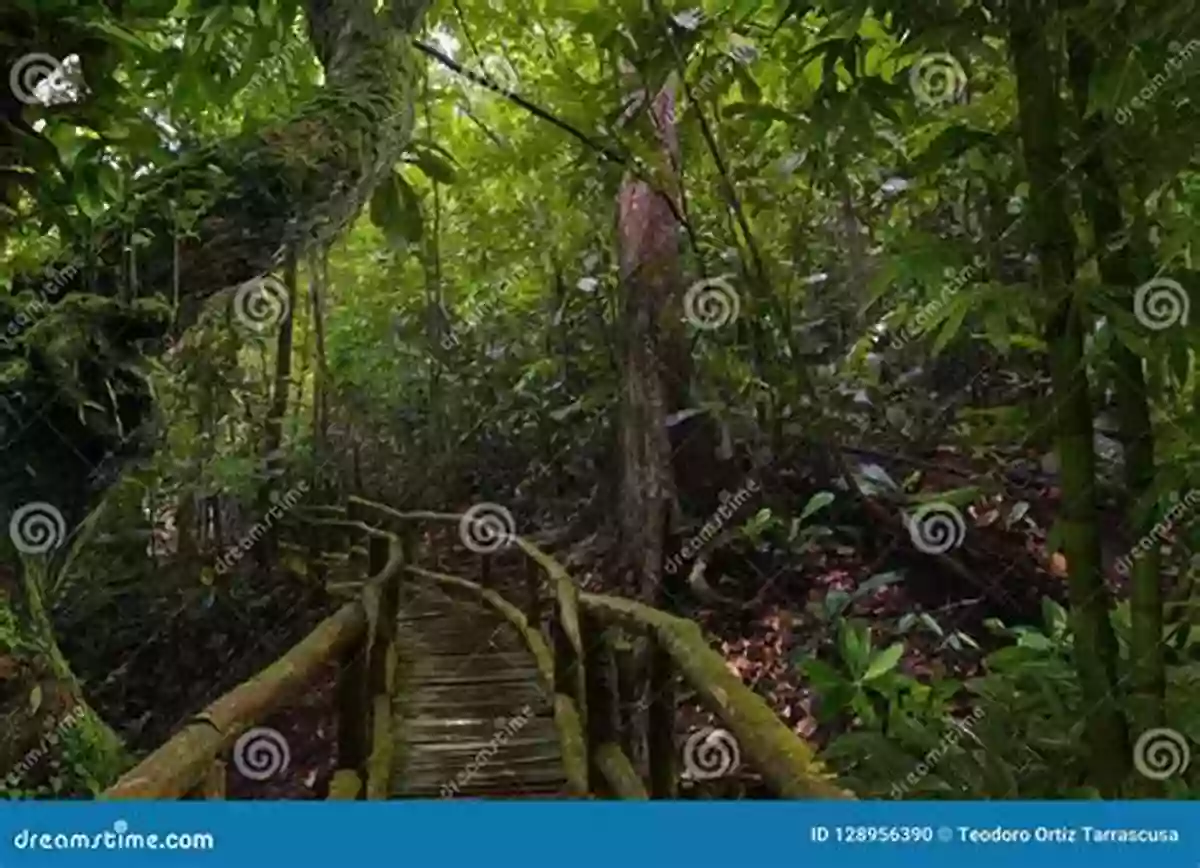 An Artist's Depiction Of The Wildman Blending With The Lush Vegetation Of Southeast Asia Images Of The Wildman In Southeast Asia: An Anthropological Perspective