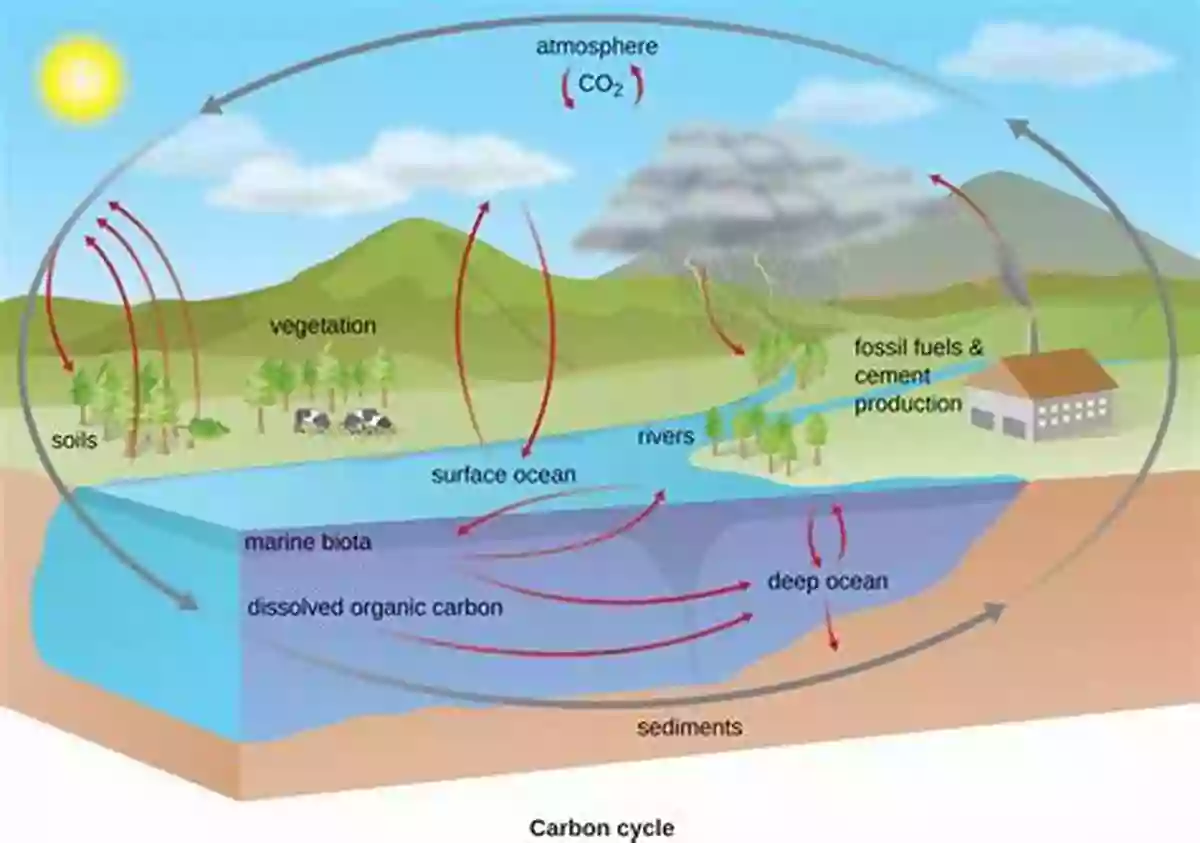 An Illustration Showing The Various Processes Involved In Element Cycling Ecosystem Biogeochemistry: Element Cycling In The Forest Landscape (Springer Textbooks In Earth Sciences Geography And Environment)