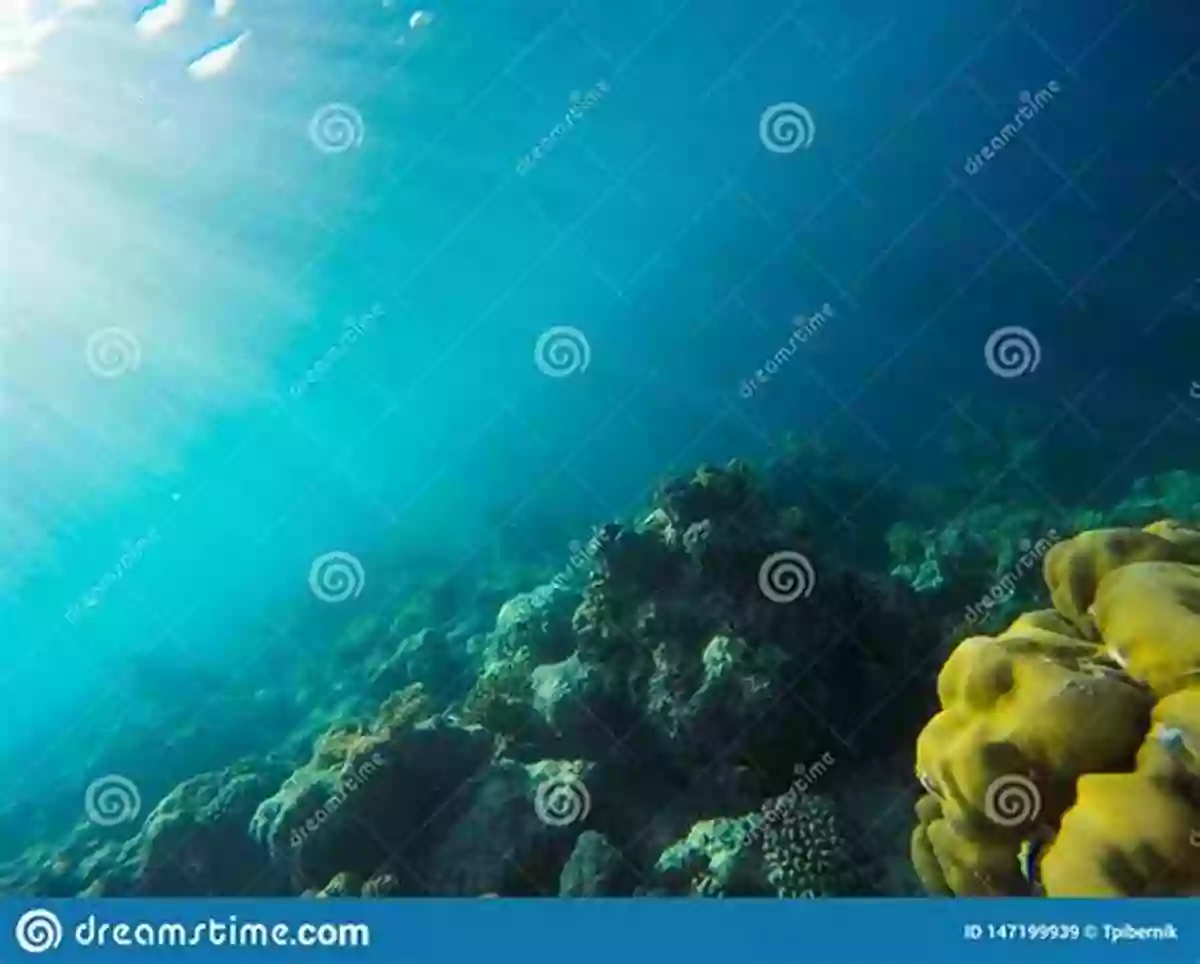 An Underwater Paradise With Colorful Coral Reefs, Tropical Fish, And A Shining Sun Casting Its Rays R Things (A Children S Picture Book) (A To Z Things 18)