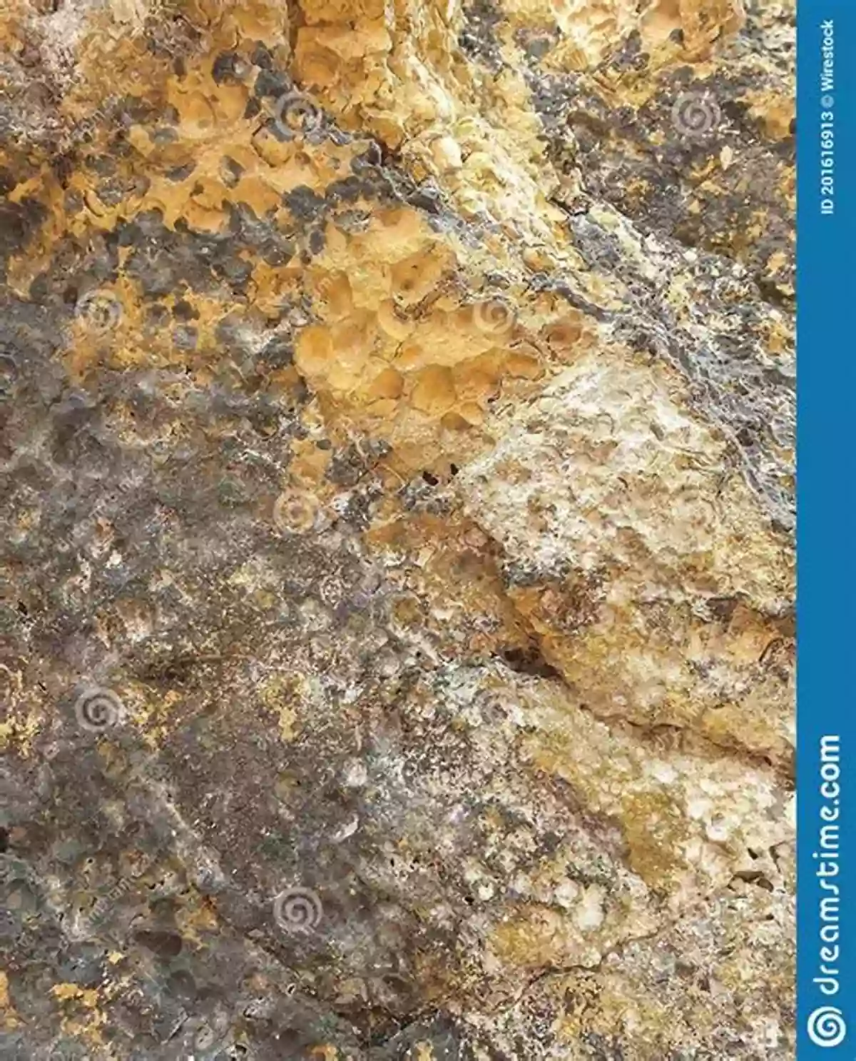 An Up Close Shot Of An Igneous Rock Formation IOpener: A Guide To Rocks And Minerals