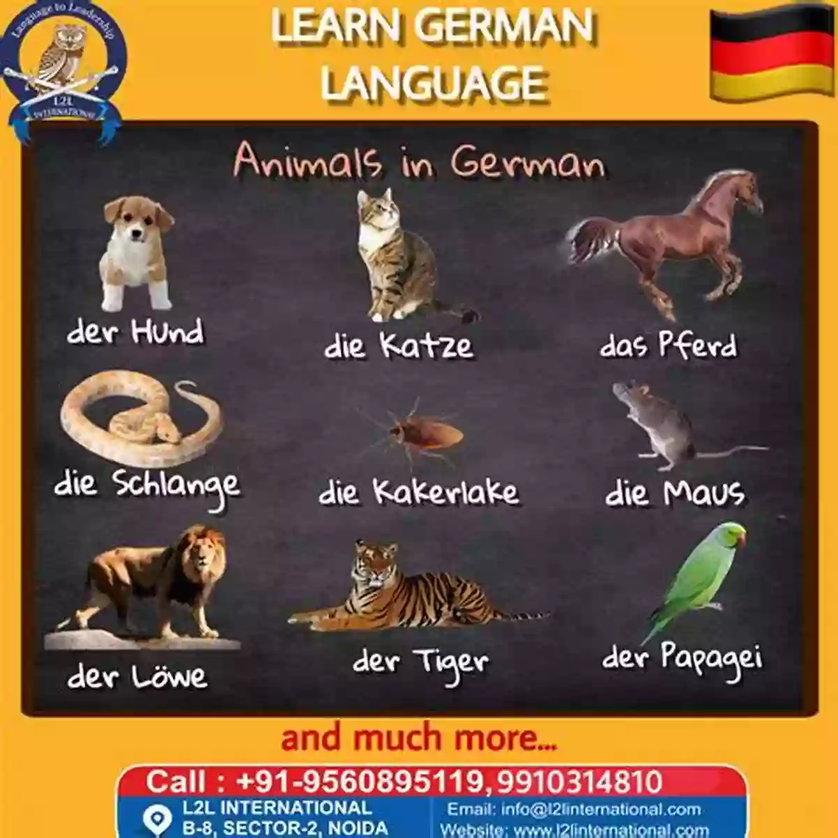 Animals Coloring Page: German Vocabulary For Animals Save The World It S The Only Planet That Has Chocolate Rette Die Welt Sie Ist Der Einzige Planet Wo Es Schokolade Gibt: Bilingual Children S Picture Incl Pics To Color (Kids Learn German 4)