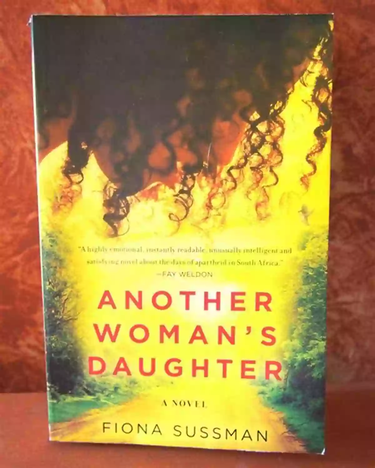 Another Woman's Daughter By Fiona Sussman A Gripping Tale Of Love And Resilience Another Woman S Daughter Fiona Sussman