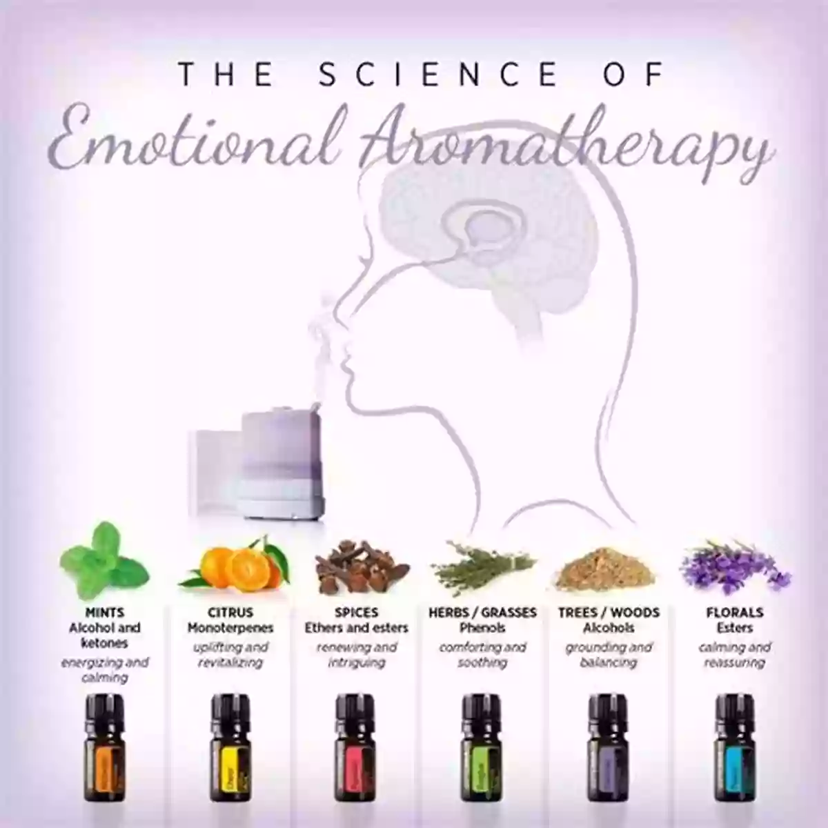 Aromatherapy For Health Healing And Emotional Balance Image Essential Oils Guide: Aromatherapy For Health Healing And Emotional Balance