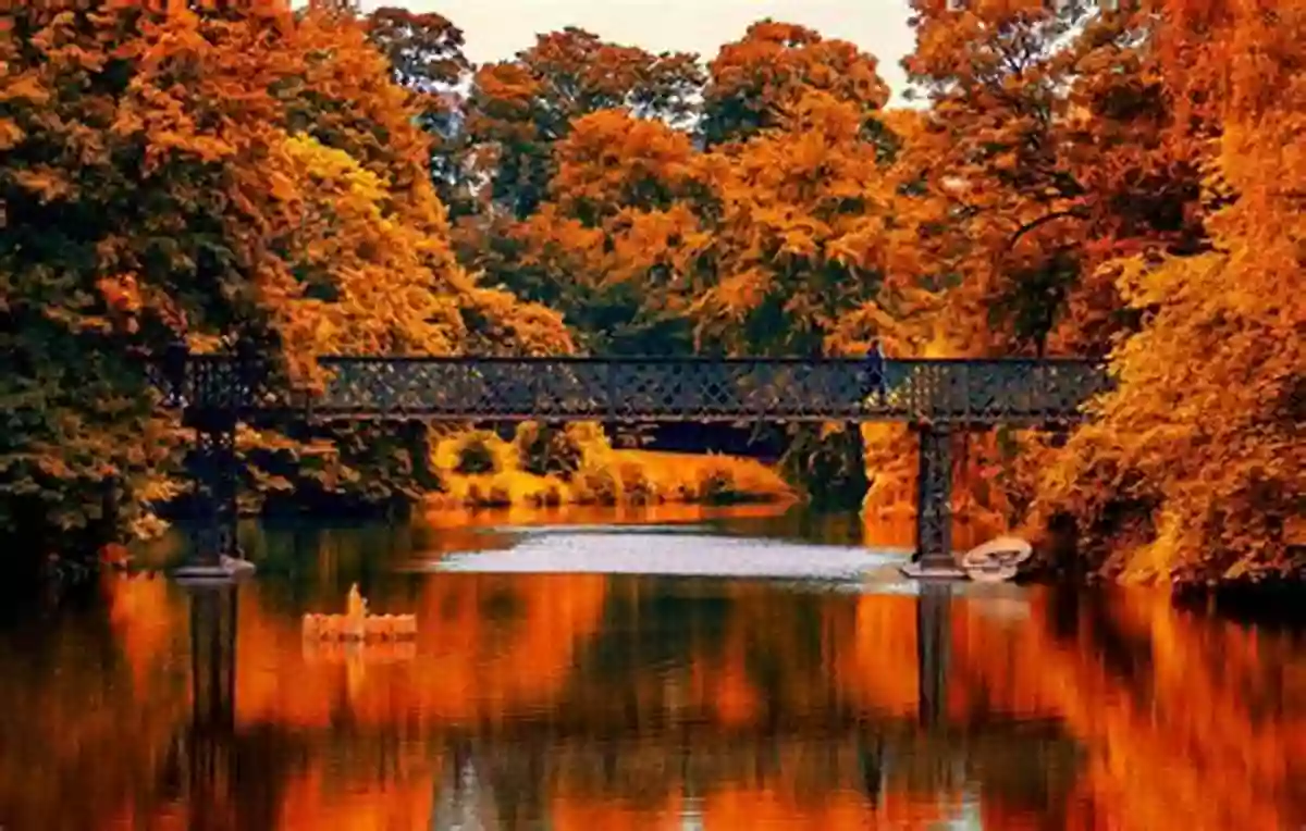 Autumn Foliage In Denmark Weather And The Seasons DK