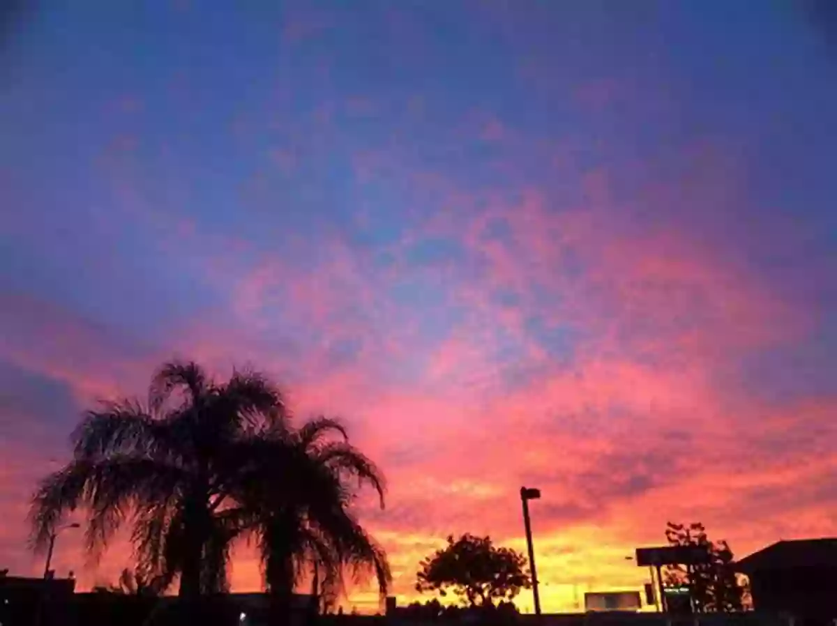 Beautiful Sunset In Orange County A People S Guide To Orange County (A People S Guide 4)