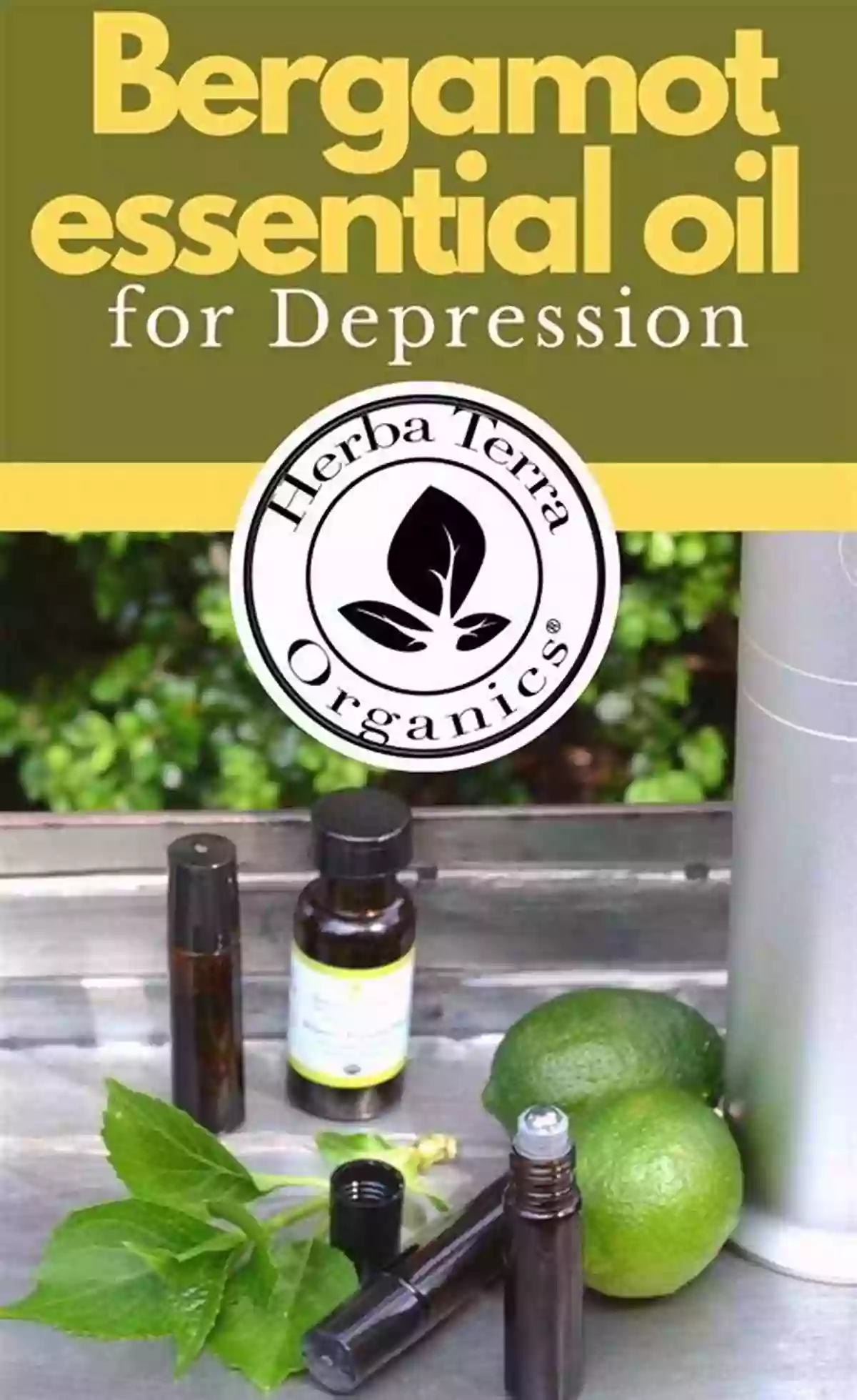 Bergamot Essential Oil For Stress Reduction Essential Oils Guide: Aromatherapy For Health Healing And Emotional Balance