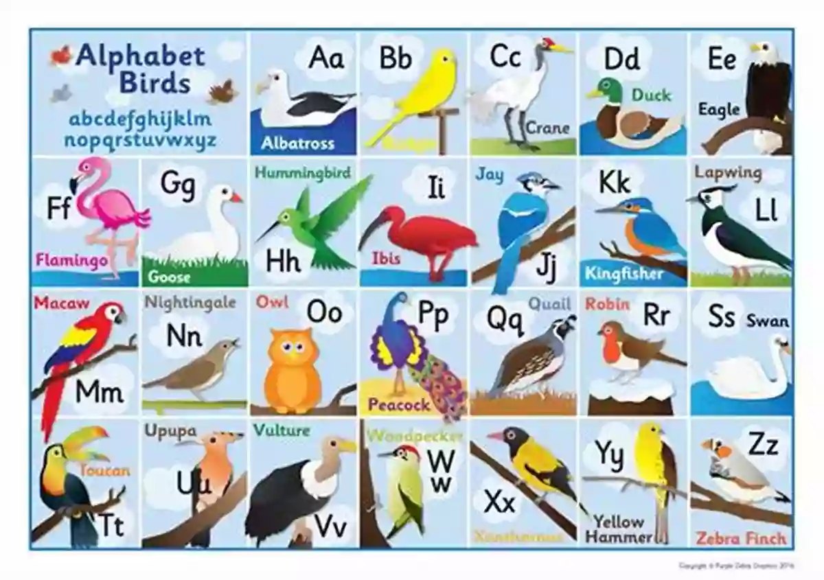 Bird Learning Alphabet A Birds Of A Letter: ABC Together (Learning THINGS)