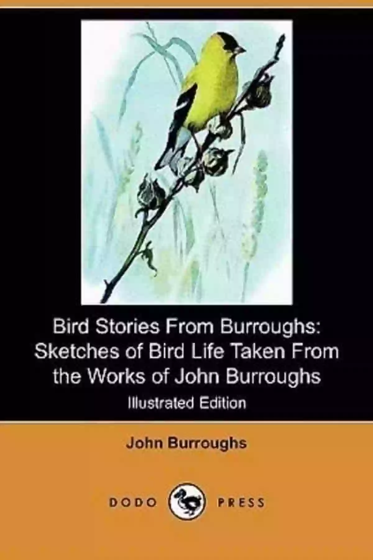 Bird Stories From Burroughs Sketches Of Bird Life Bird Stories From Burroughs Sketches Of Bird Life Taken From The Works Of John Burroughs