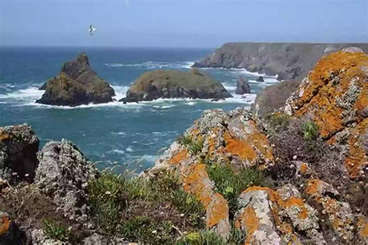 Breathtaking View Of The Coastline Leading To The Vastness Of The Open Sea MICRO 2016: Fate And Impact Of Microplastics In Marine Ecosystems: From The Coastline To The Open Sea