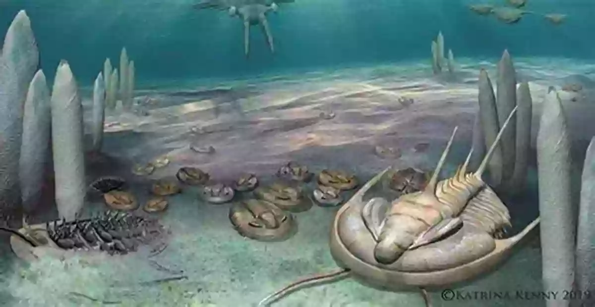 Cambrian Ocean Ancient Wyoming: A Dozen Lost Worlds Based On The Geology Of The Bighorn Basin