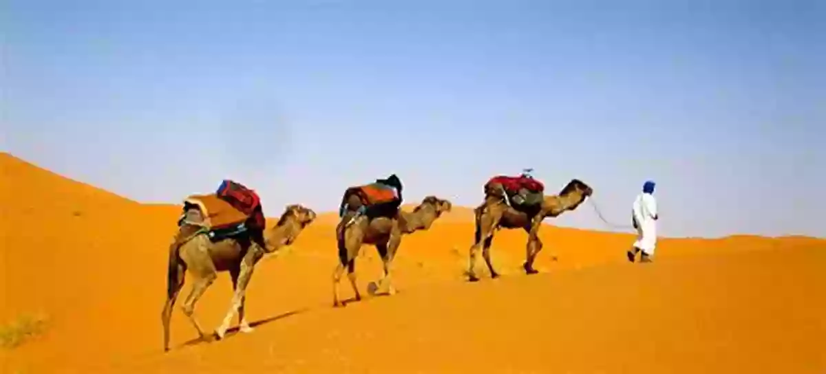 Camel Trekking Through The Desert Living In A Desert (Places We Live)