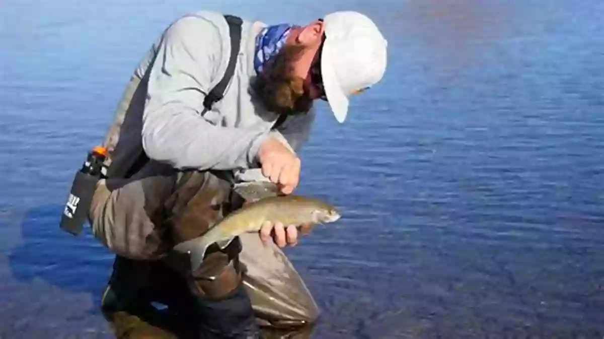 Catch A Gold Bear In Action During Fly Fishing Gold Bears Fly Fishing: The History Of Island Park