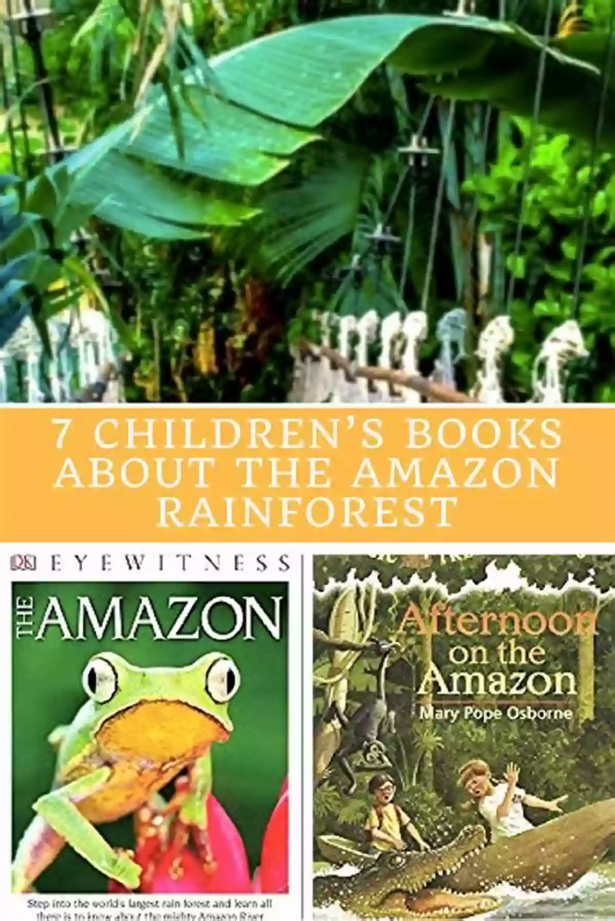 Children's Book About The Amazon Rainforest Let S Explore South America (Most Famous Attractions In South America): South America Travel Guide (Children S Explore The World Books)