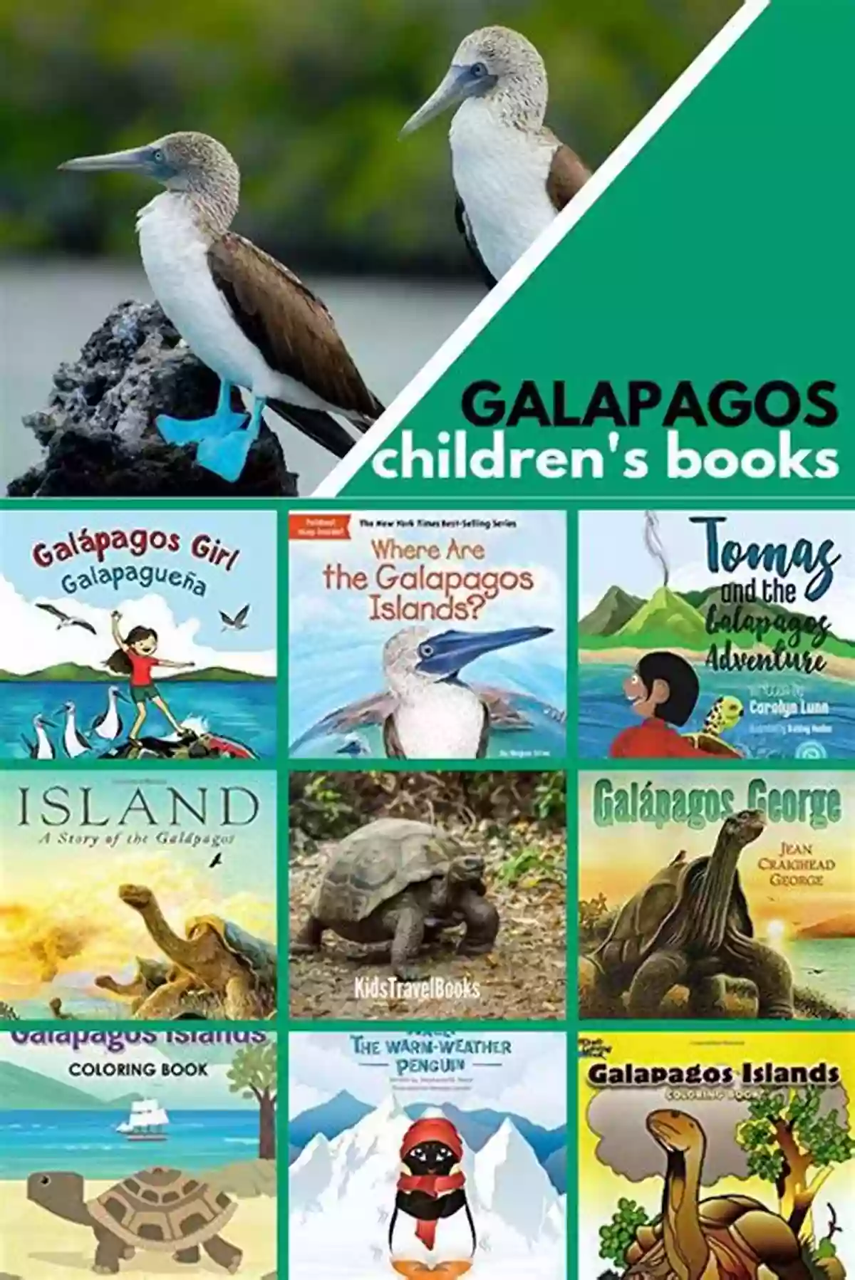 Children's Book About The Galápagos Islands Let S Explore South America (Most Famous Attractions In South America): South America Travel Guide (Children S Explore The World Books)