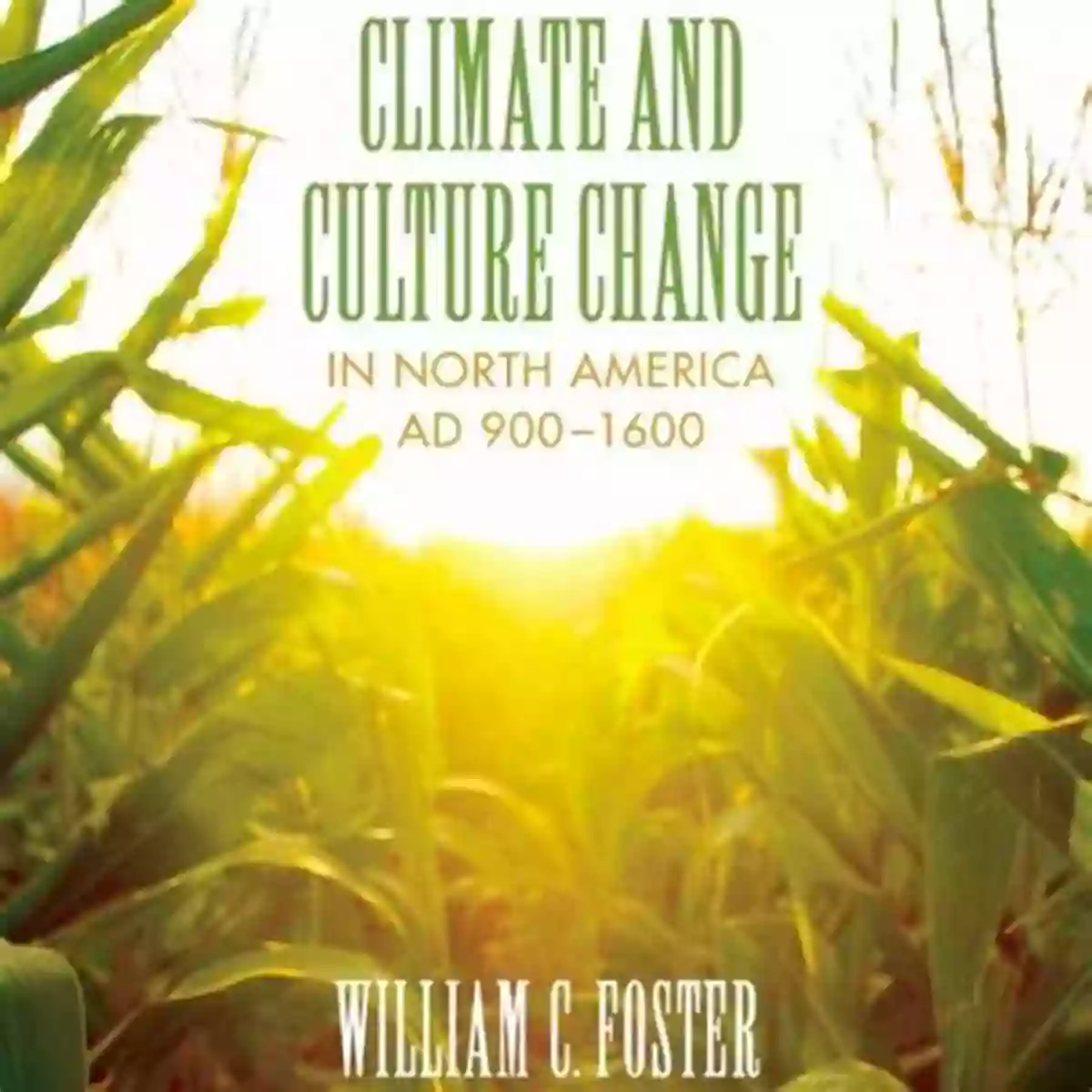 Clifton Terrace Farming Climate And Culture Change In North America AD 900 1600 (Clifton And Shirley Caldwell Texas Heritage 18)