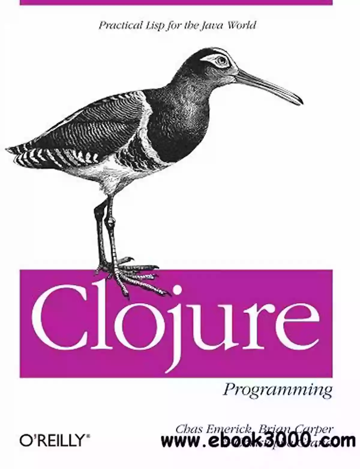 Clojure Programming: Practical Lisp For The Java World