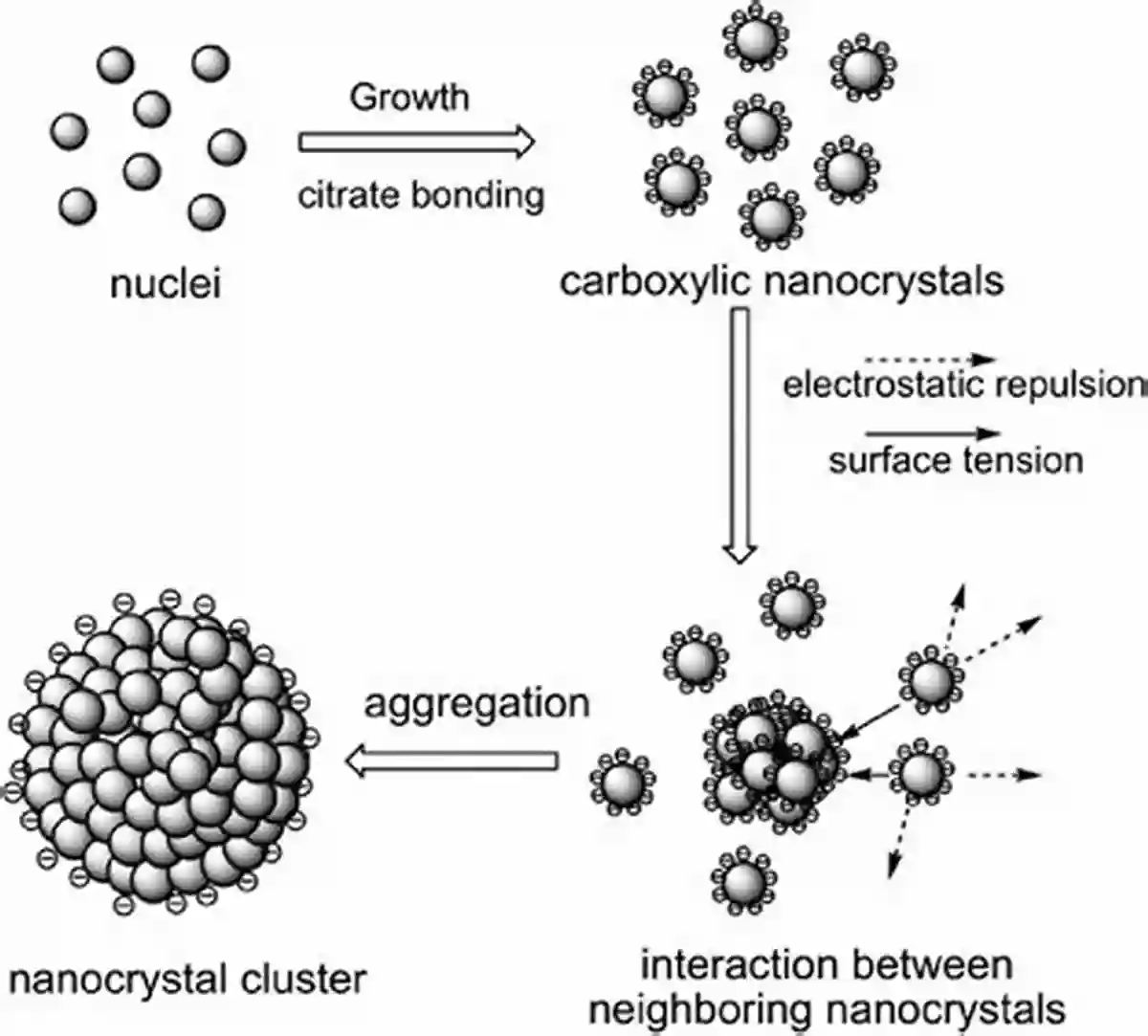 Colloidal Nanocrystals Undergoing The Crystallization Process Crystallization And Growth Of Colloidal Nanocrystals (SpringerBriefs In Materials 7)