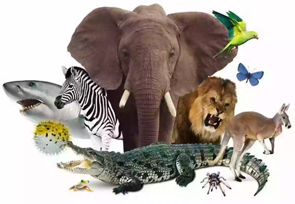 Colorful Animal Kingdom White Went Around The World: Early Learning Colors In A Fun Picture For Preschool (Pre K) And Children Of All Ages (My Color Friends 1)