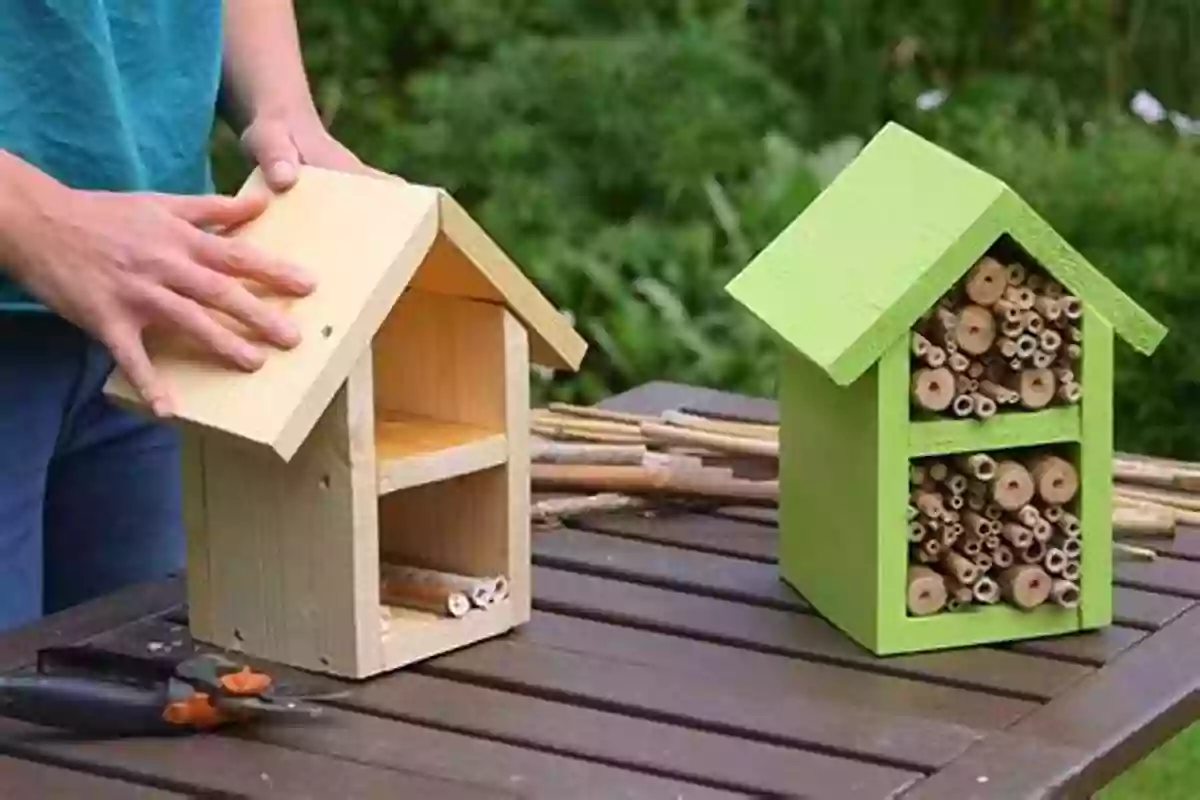 Construct A Bee Hotel Explore Water : 25 Great Projects Activities Experiments (Explore Your World)