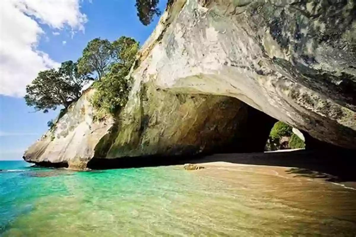 Coromandel Landscape New Zealand Coromandel Geology Tour