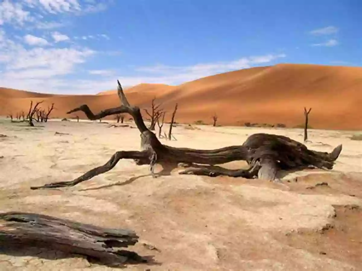 Deserts Of The Paleozoic Ancient Wyoming: A Dozen Lost Worlds Based On The Geology Of The Bighorn Basin