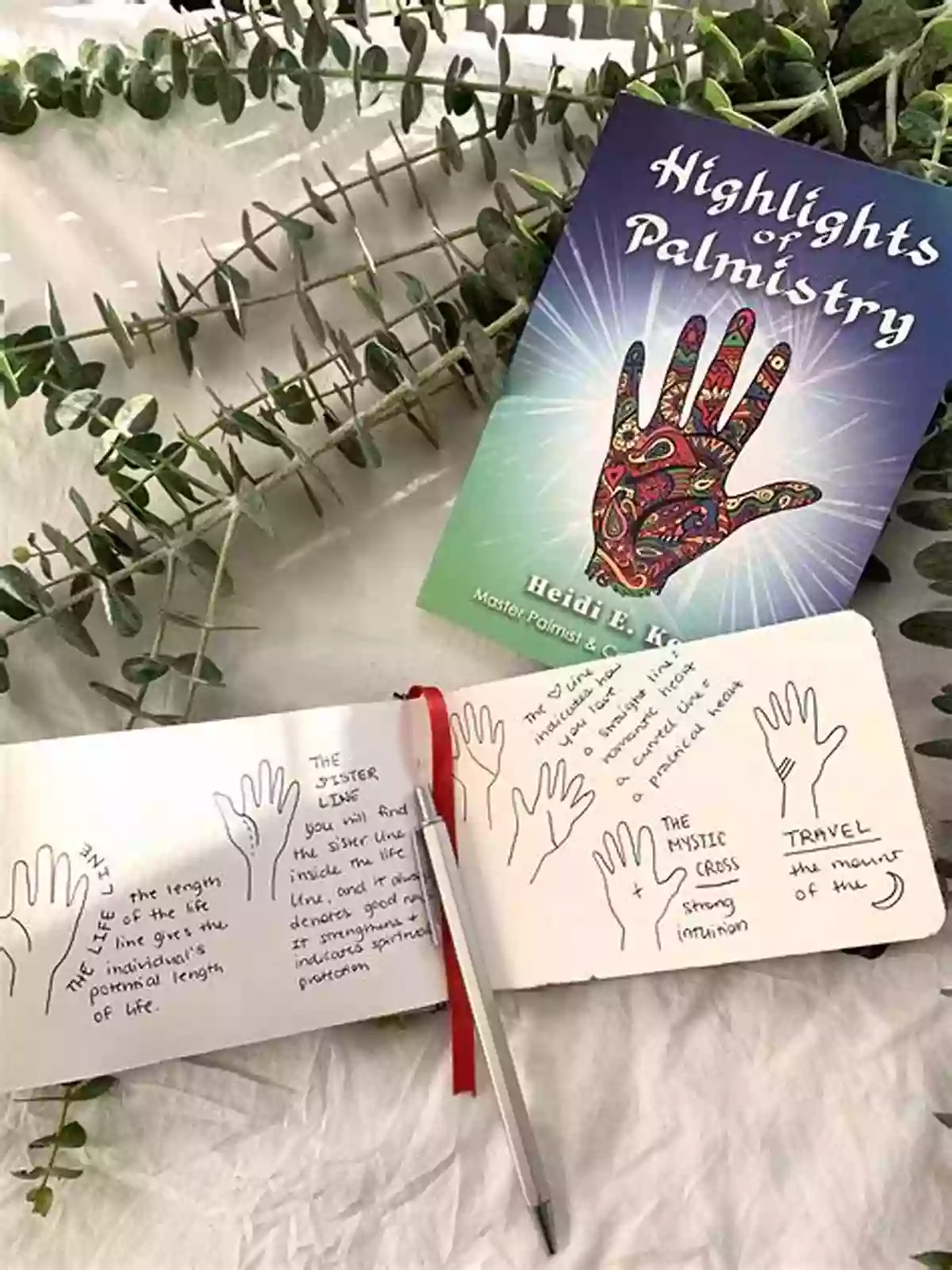 Discover Palmistry Secrets With Heidi Kent Highlights Of Palmistry Heidi Kent