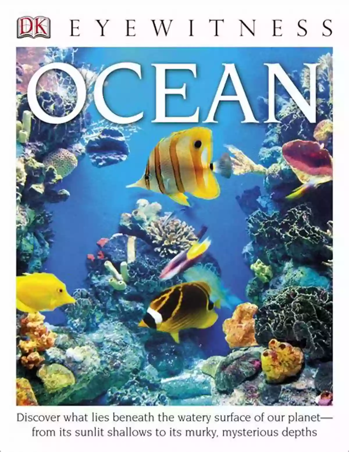 Discover The Wonders Of The Ocean With Ocean DK Eyewitness DK Ocean (DK Eyewitness) DK