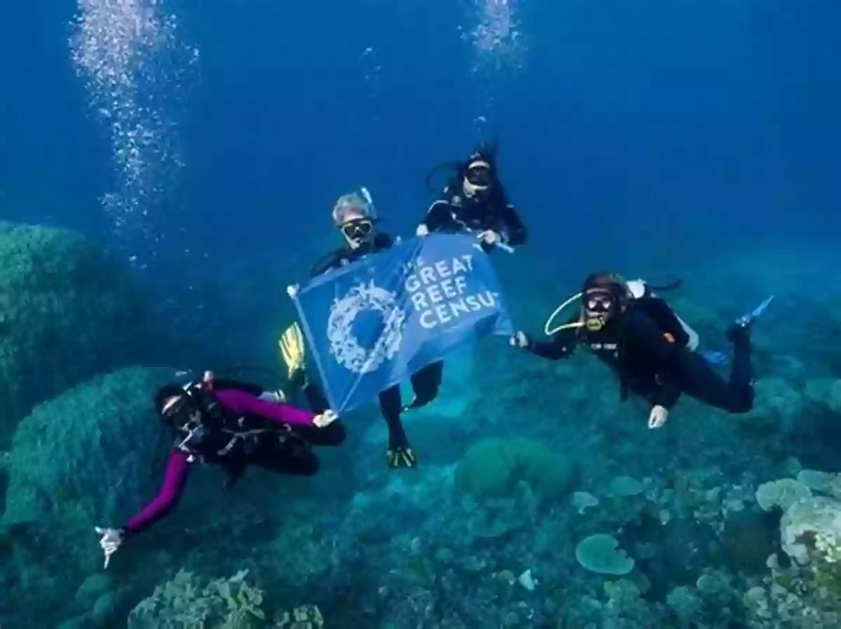 Divers Engaged In Sustainable Practices, Taking Part In Coral Reef Conservation Coral Reefs: A Journey Through An Aquatic World Full Of Wonder