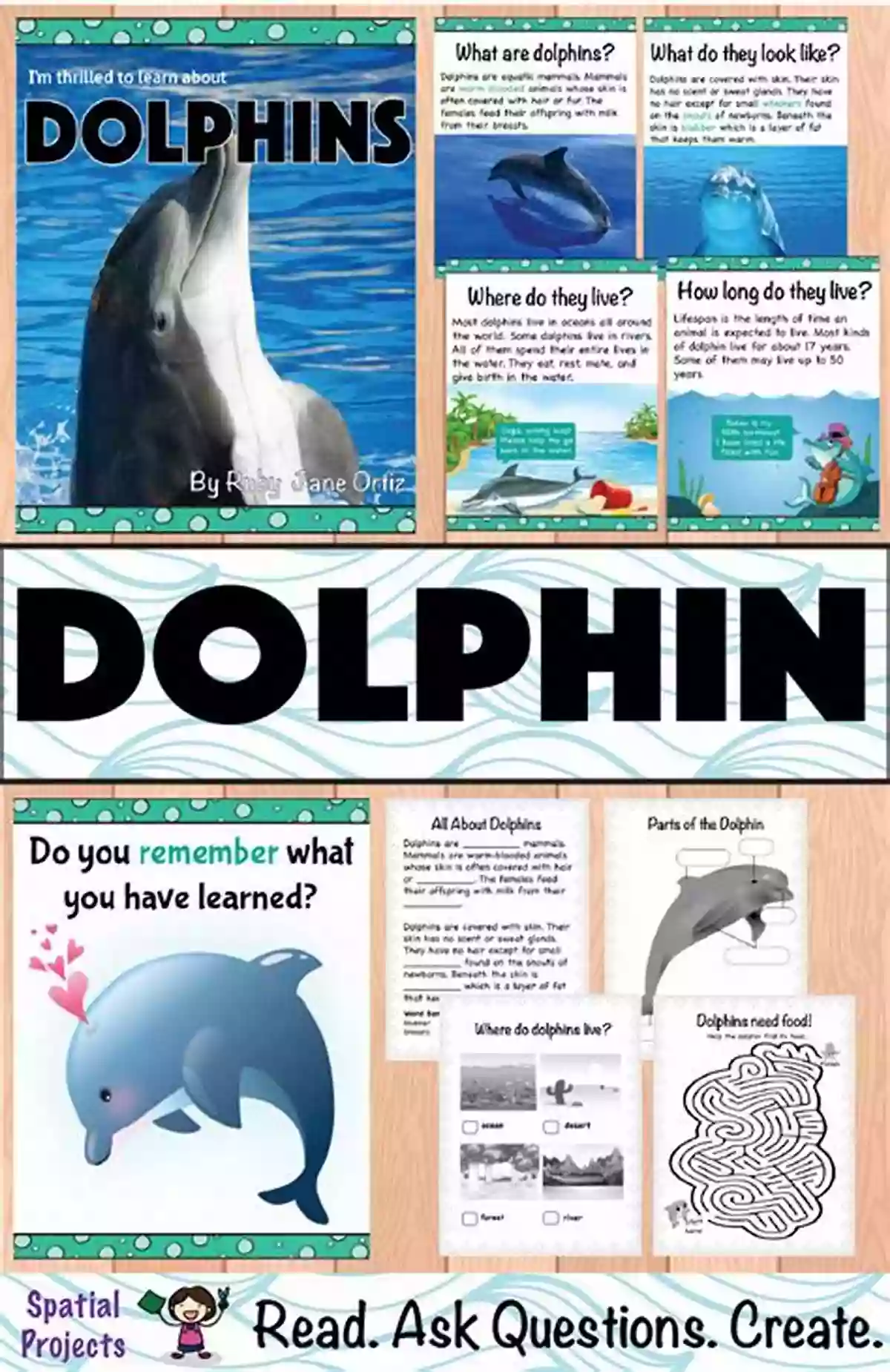 Dolphin Hunting Fish Dolphin Facts For Kids Barry Buggles