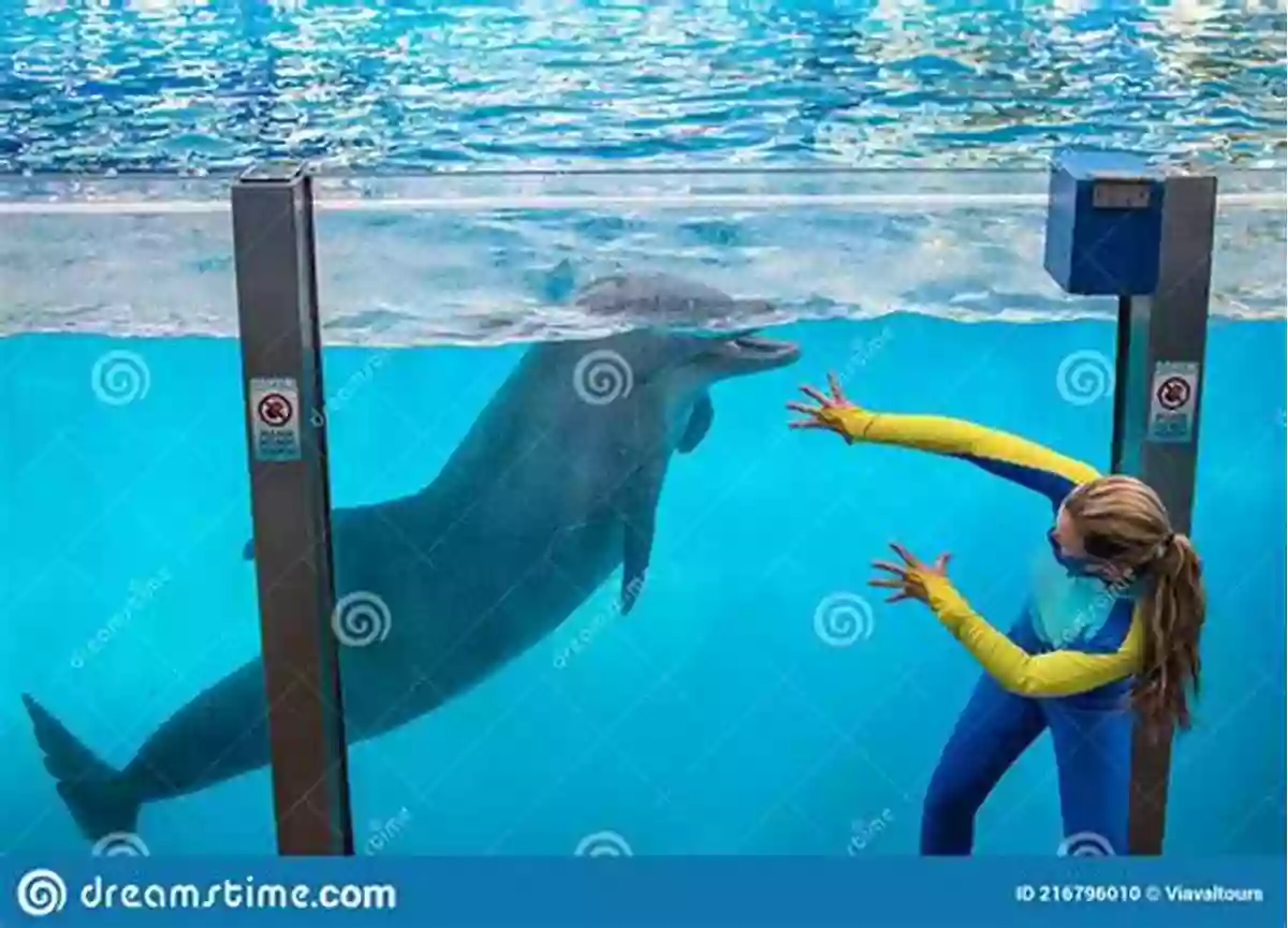 Dolphin Interacting With A Trainer Dolphin Facts For Kids Barry Buggles