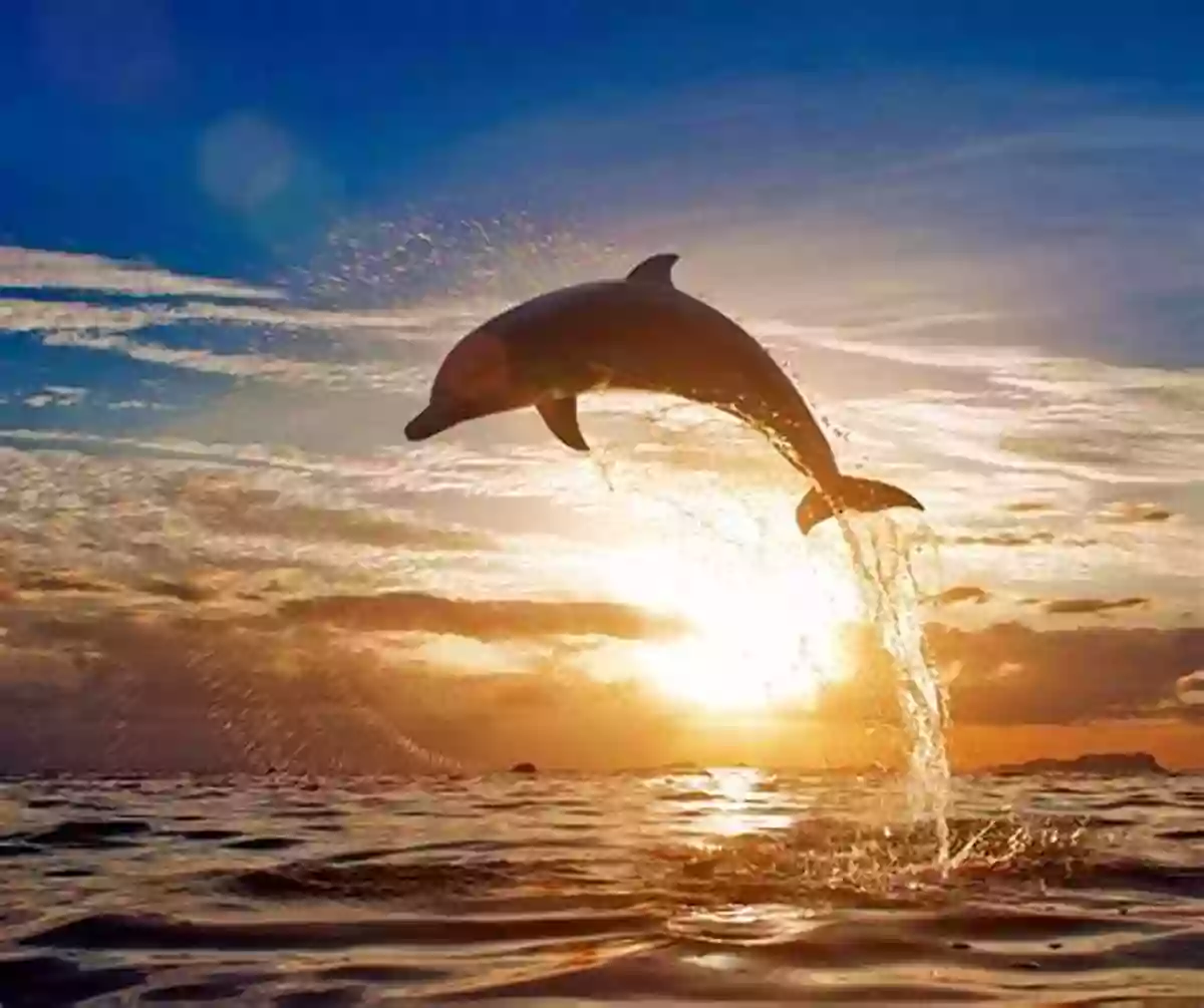 Dolphin Leaping Out Of The Water Dolphin Facts For Kids Barry Buggles