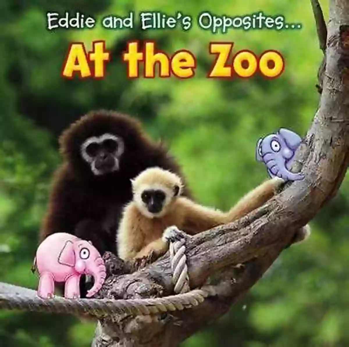 Eddie And Ellie, The Adventurous Duo Exploring The Zoo And Discovering Opposites Eddie And Ellie S Opposites At The Zoo