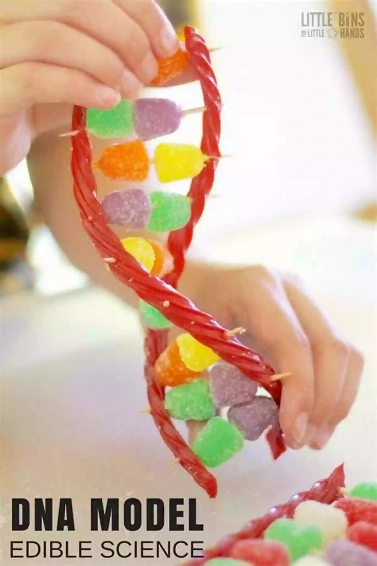 Edible DNA Experiment 50 Science Experiments To Do At Home: The Step By Step Guide For Budding Scientists Awesome Science Experiments For Kids Ages 5+ STEM Projects And Why They Work Awesome STEAM Activities For Kids