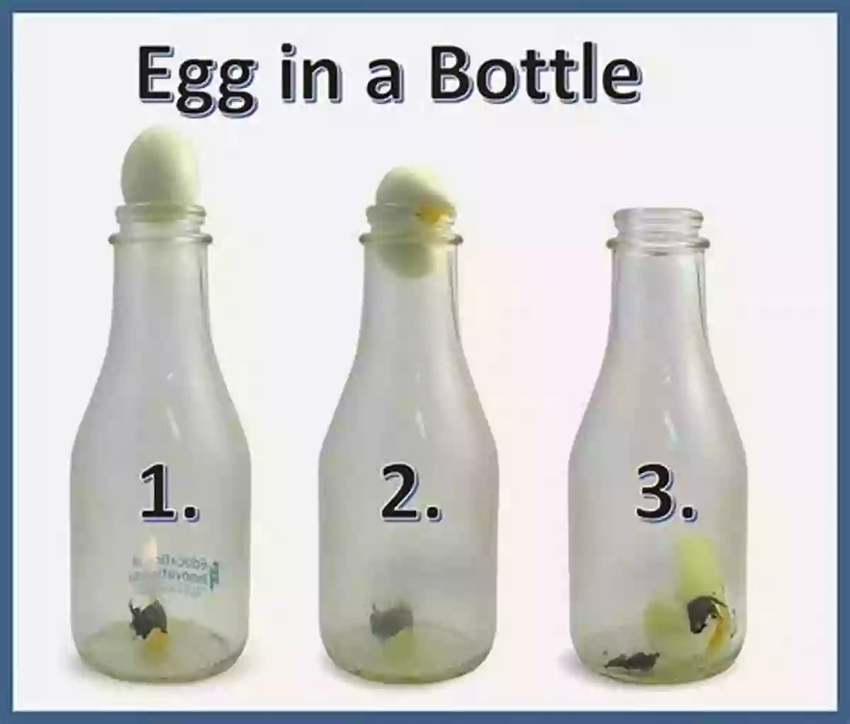 Egg In A Bottle Experiment 50 Science Experiments To Do At Home: The Step By Step Guide For Budding Scientists Awesome Science Experiments For Kids Ages 5+ STEM Projects And Why They Work Awesome STEAM Activities For Kids