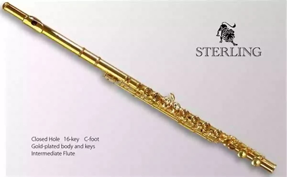 Elegant Flute Instrument With Silver Details And Gold Plated Keys F Is For Flute: A Z Music Vocabulary For Kids