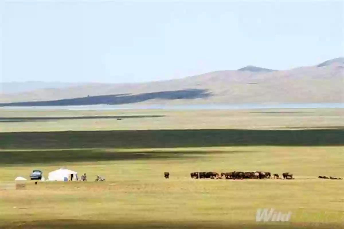 Endless Green Grassland Stretching Across The Mongolian Landscape The Physical Geography Of Mongolia (Geography Of The Physical Environment)