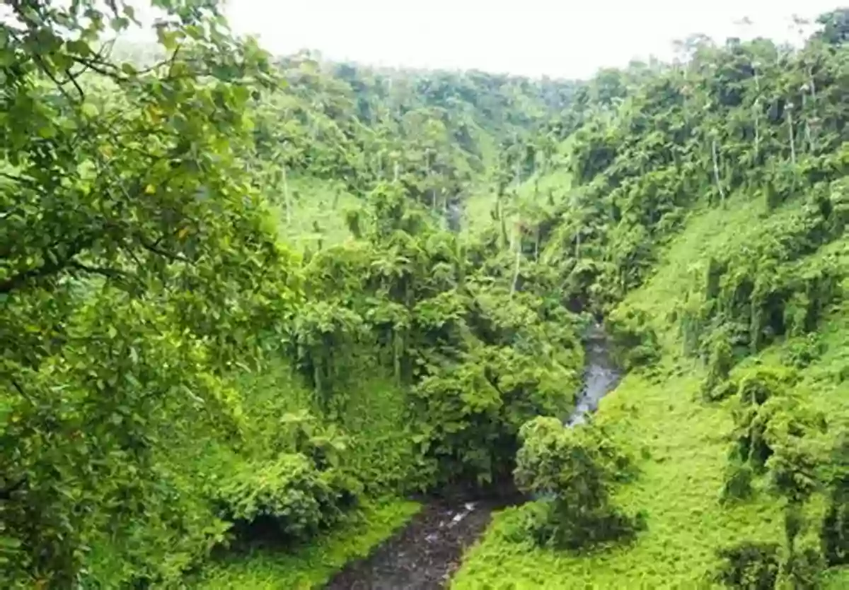 Entrancing Waterfalls, Lush Greenery, And Breathtaking Views In Boggy Creek Valley Looking For You (Boggy Creek Valley 6)